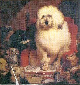 gelehriger Pudel